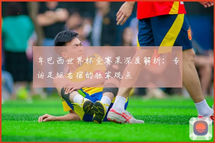 年巴西世界杯全赛果深度解析:专访足坛名宿的独家观点