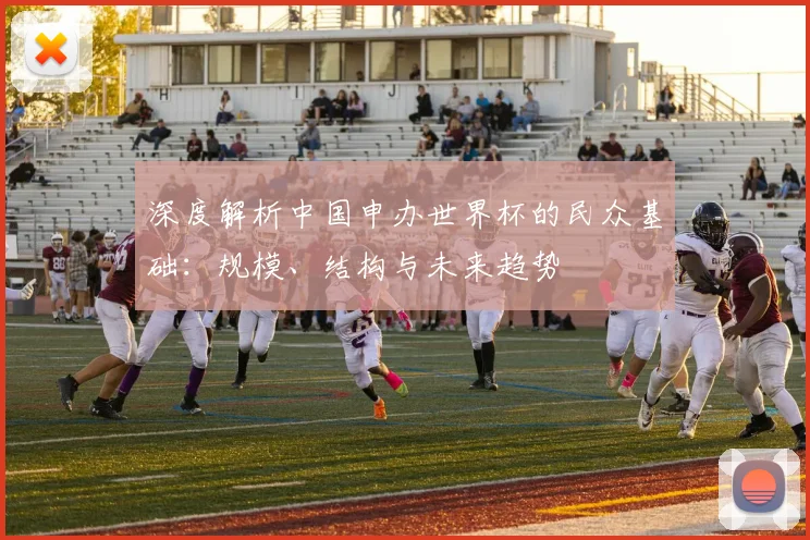 深度解析中国申办世界杯的民众基础：规模、结构与未来趋势